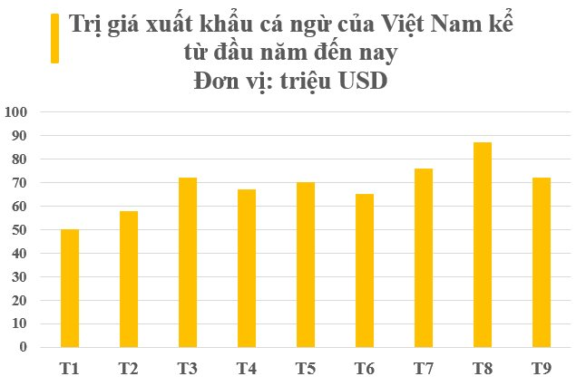 Sở hữu 'bảo bối tỷ đô' được 2/3 thế giới ưa chuộng, Việt Nam thu nửa tỷ USD sau 9 tháng, lọt top 3 'ông trùm' của thế giới