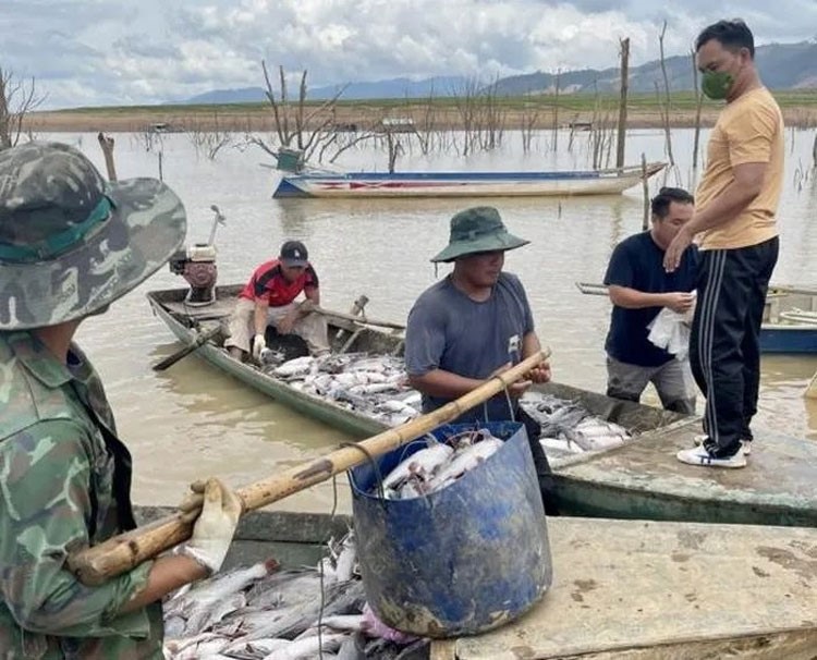 Hội Thủy sản Việt Nam kiến nghị hỗ trợ thiệt hại do bão lũ ở các tỉnh miền Bắc