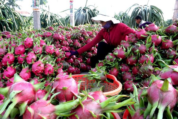 EU gia tăng cảnh báo an toàn thực phẩm thủy sản 